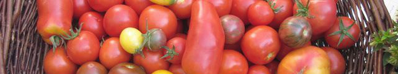 Verschiedene Tomatensorten © Dienstleistungszentren Ländlicher Raum